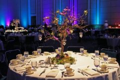 event-midsummer-tree-2