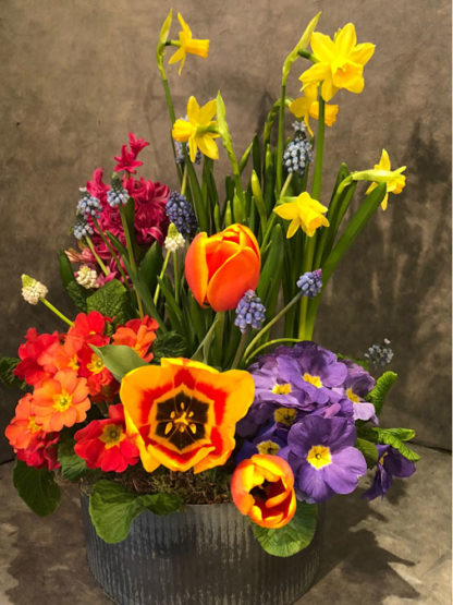 Springtime Dish Garden