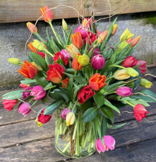 Tiptoe through the Tulips